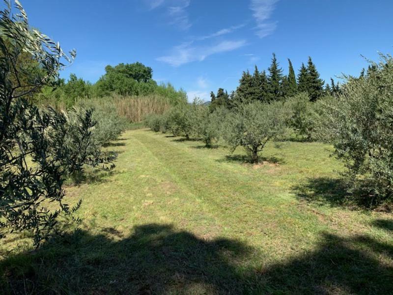 Le Mazet Des Joncs En Provence Ferienhaus *