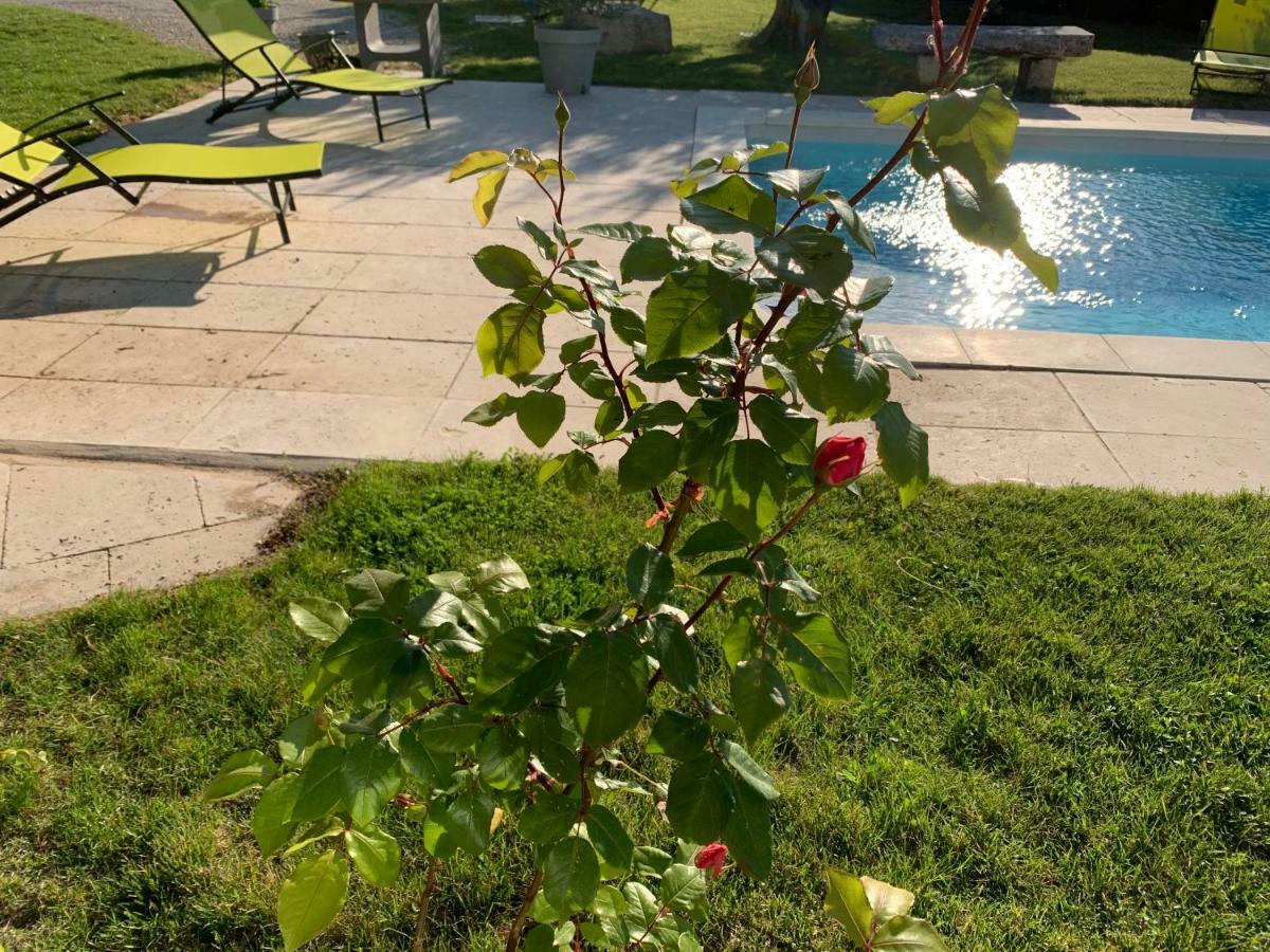Le Mazet Des Joncs En Provence Ferienhaus *